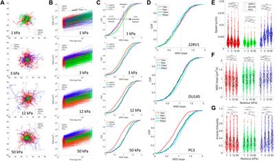 Prostate cancer cells of increasing metastatic potential exhibit diverse contractile forces, cell stiffness, and motility in a microenvironment stiffness-dependent manner